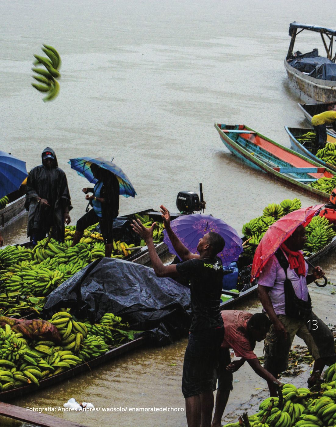 Canoas de colores y racimos de plátano bajo la lluvia en un puerto del Pacífico colombiano